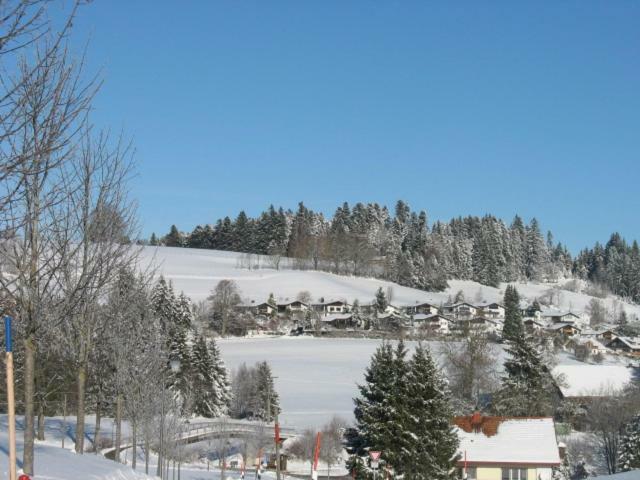 Haus Lenzhalde Appartement Oberreute Buitenkant foto